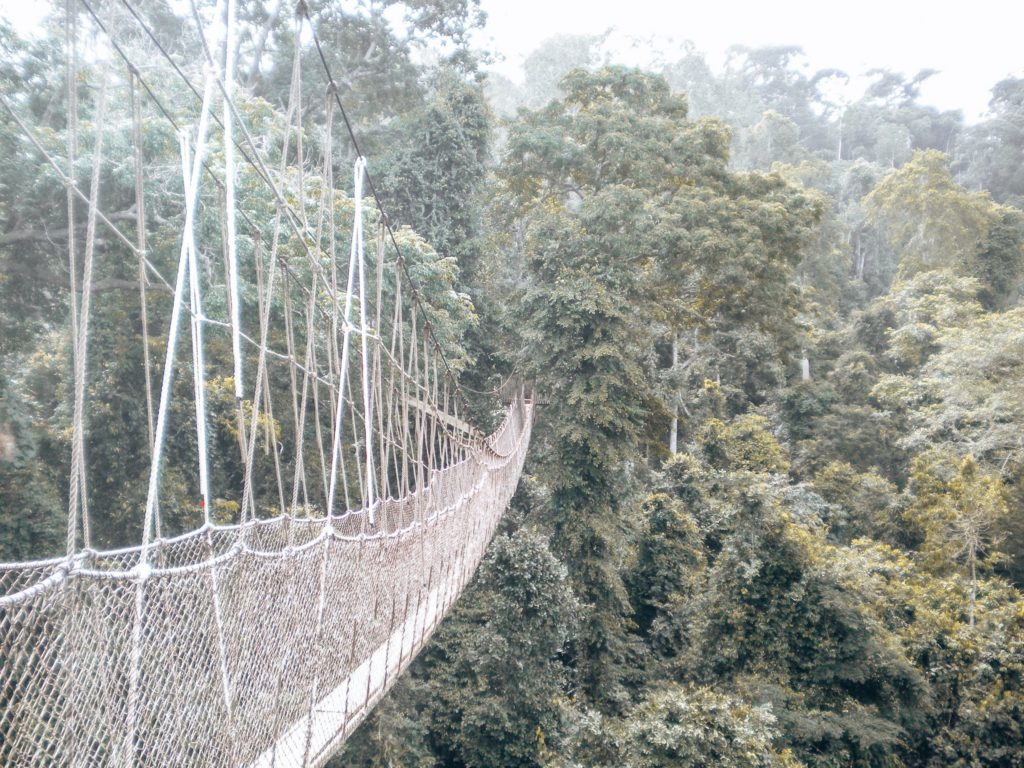 ghana-kakum-nationalpark