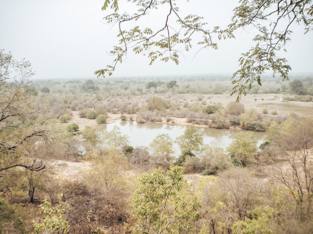 ghana-mole-nationalpark