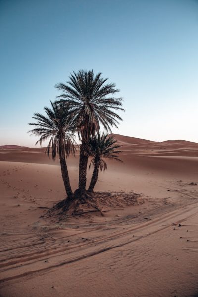 erg-chebbi-marokko